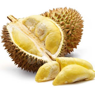파일:Durian.jpg