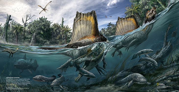 파일:Spinosaurus ngm 102014 superjaws 108 to 110edit.jpg