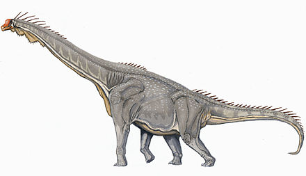 Brachiosaurus altithorax.jpg