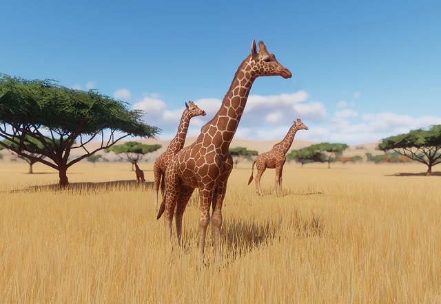 PlanetZoo Zoopedia Reticulated Giraffe.jpg