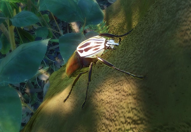 파일:PlanetZoo Zoopedia Goliath Beetle.jpg