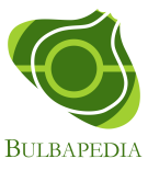 파일:Bulbapedia logo.png