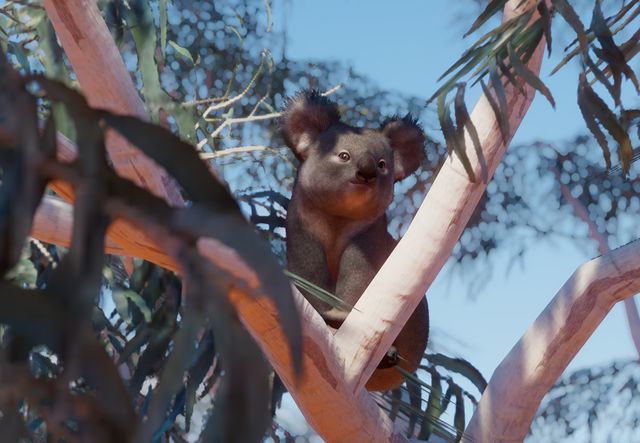 PlanetZoo Zoopedia Koala.jpg