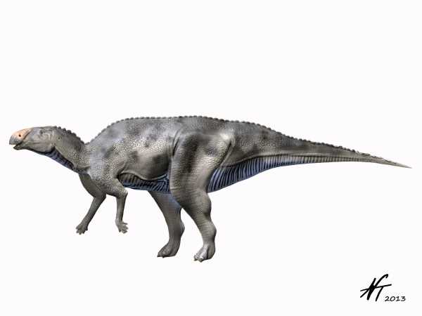 파일:Hadrosaurus foulkii.jpg