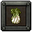 MSA Item Chinese Cabbage.png