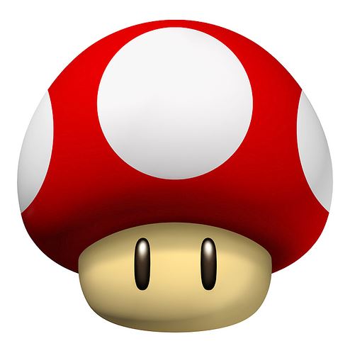 파일:Mario kart ds Mushroom.JPG