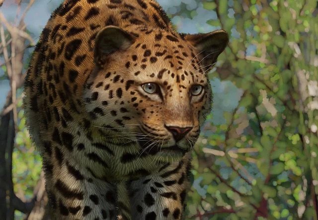 PlanetZoo Zoopedia Amur Leopard.jpg
