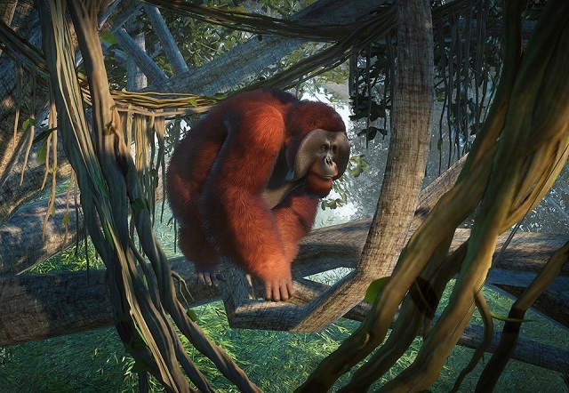 PlanetZoo Zoopedia Bornean Orangutan.jpg
