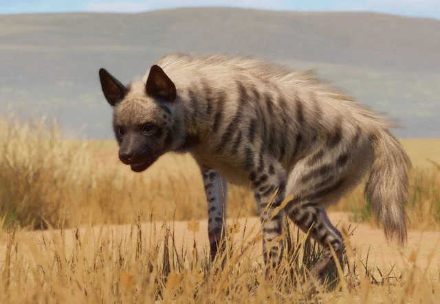 PlanetZoo Zoopedia Striped Hyena.jpg