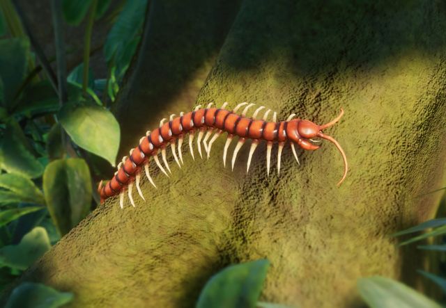 PlanetZoo Zoopedia Amazonian Giant Centipede.jpg