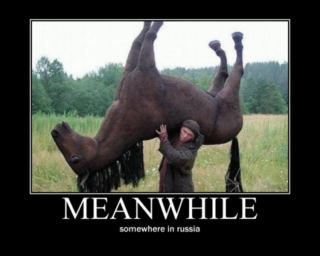 러시아에서는 말이 사람을 탑니다!