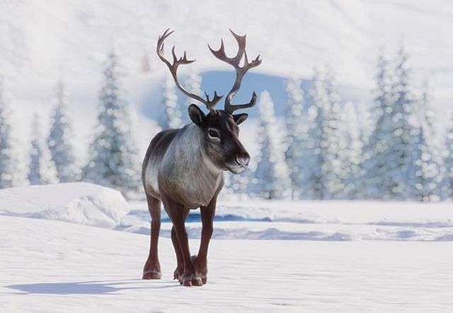 파일:PlanetZoo Zoopedia Reindeer.jpg
