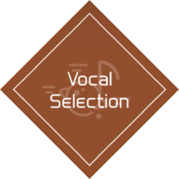 Voez vocal selection.png