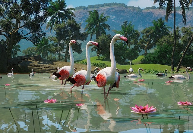 PlanetZoo Zoopedia Greater Flamingo.jpg
