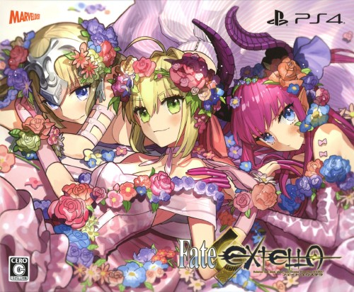 파일:Fate EXTELLA PS4 REGALIA BOX cover art.png