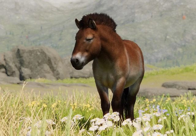 파일:PlanetZoo Zoopedia Przewalski's Horse.jpg