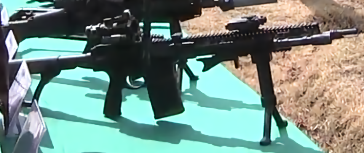DD5V1 rifle with 4x32 BROWE Combat Optic and Docter Sight II.png