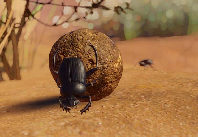 PlanetZoo Zoopedia Sacred Scarab Beetle.jpg