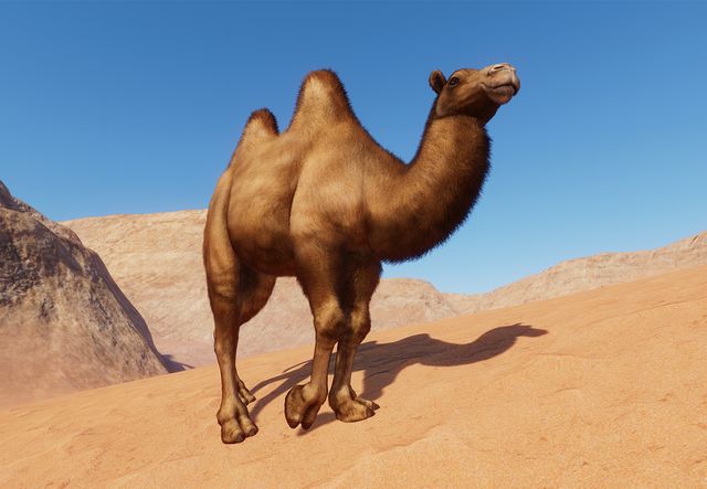 PlanetZoo Zoopedia Bactrian Camel.jpg