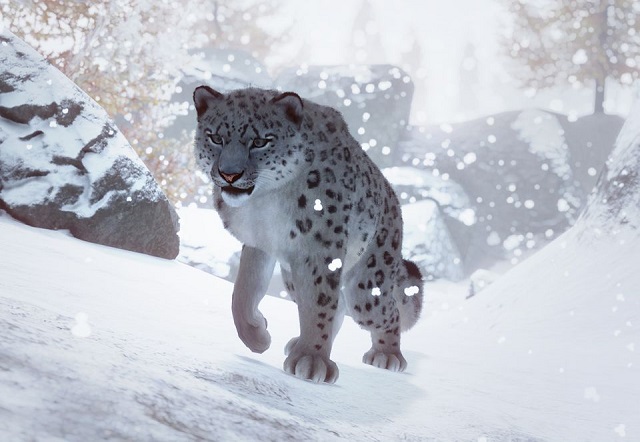 파일:PlanetZoo Zoopedia Snow Leopard.jpg