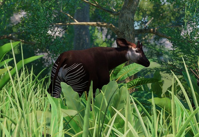 파일:PlanetZoo Zoopedia Okapi.jpg