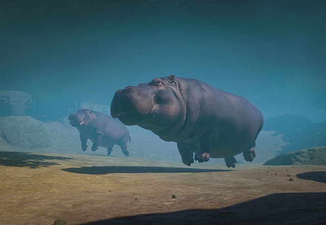 PlanetZoo Zoopedia Hippopotamus.jpg