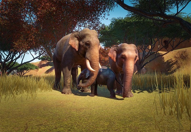 PlanetZoo Zoopedia Indian Elephant.jpg