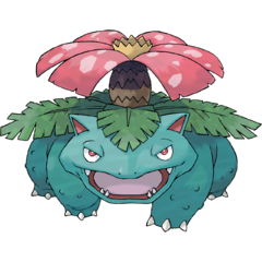 이상해꽃.png