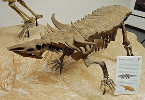 Desmatosuchus.jpg