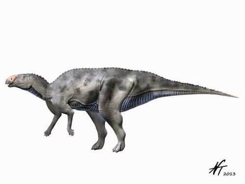 Hadrosaurus foulkii.jpg