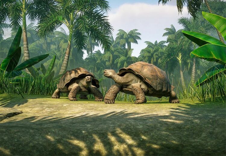 PlanetZoo Zoopedia Galapagos Giant Tortoise.jpg