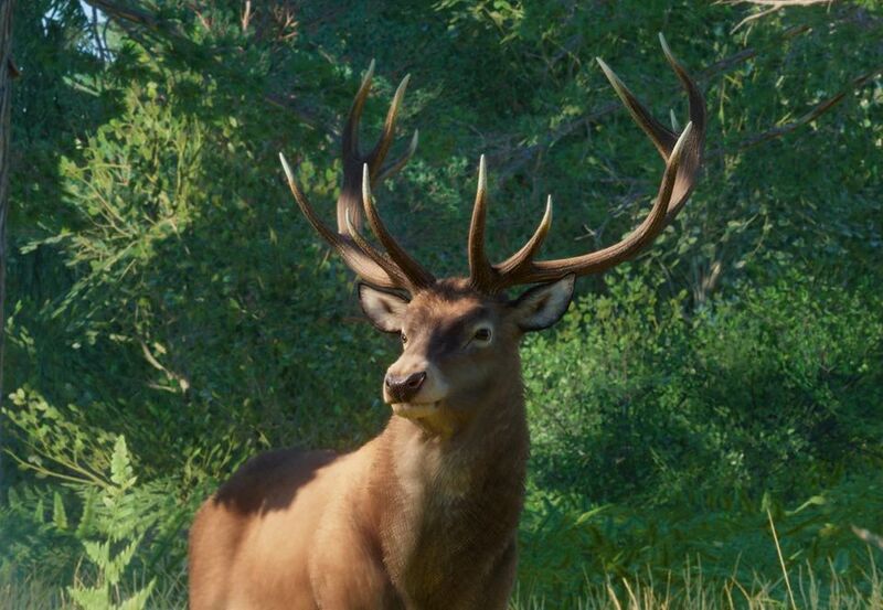 파일:PlanetZoo Zoopedia Red Deer.jpg