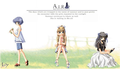 AIR (game) PC limited edition cover art.png