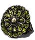 Cloranthy Ring.png