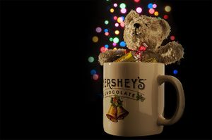 Mug, Bear, and some Hershey's Chocolates.jpg