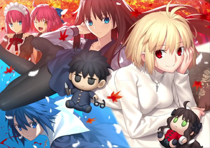 MELTY BLOOD TYPE LUMINA limited edition cover art.webp