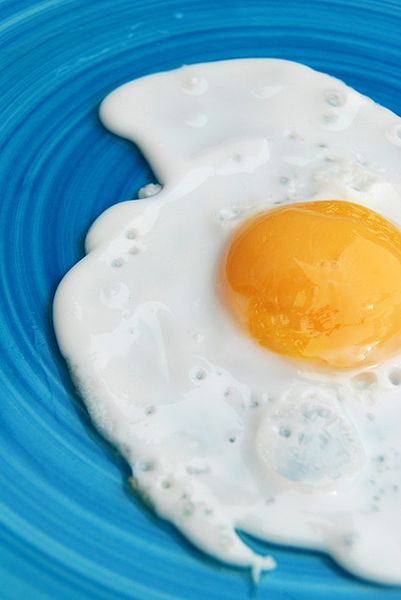 파일:계란 프라이.jpg
