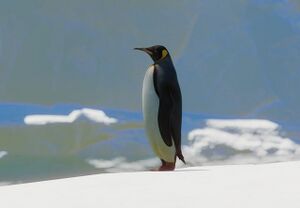 PlanetZoo Zoopedia King Penguin.jpg