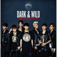 BTS DARK&WILD Taiwan Special Limited Edition.jpg