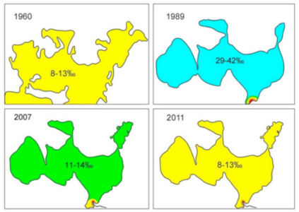 북아랄해의 염도 변화. 1989년에 40‰(=4%)에 달했던 염도가 2011년에는 1960년대 수준으로 돌아온 것을 확인할 수 있다. 하단의 붉게 표시된 것은 담수가 있는 곳으로 시르 다리아강이 유입되는 지점이다.[2]