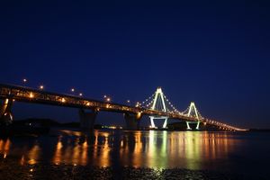 Yeoungjong bridge night.jpg