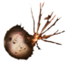 뮤타젠 샘플.png