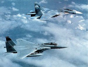 F15-and-su27.jpg