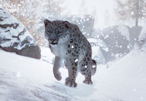 PlanetZoo Zoopedia Snow Leopard.jpg