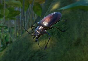 PlanetZoo Zoopedia Titan Beetle.jpg