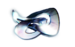 모르픽스.png