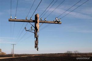 In Russia Wires Maintain Poles.jpg