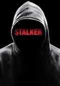 Stalker tv series(1).jpeg