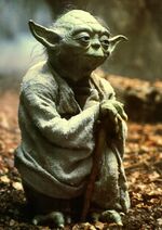 Will-yoda-appear-in-the-upcoming-star-wars-film.jpg