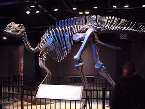 Hadrosaurus.jpg